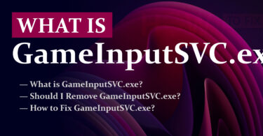 GameInputSVC.exe Removal guide
